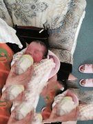 ����ɥʧ����ĸ�׵��ʸ�û�뵽���ܵ��ϴ���' /></a></div>
<div class=